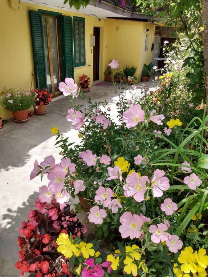 Giallo Sole Colleferro Kültér fotó