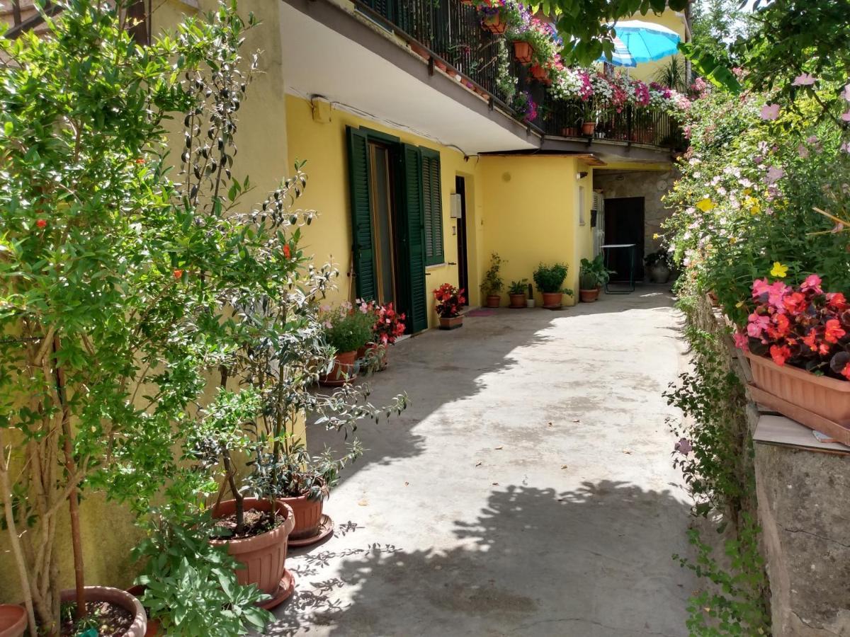 Giallo Sole Colleferro Kültér fotó
